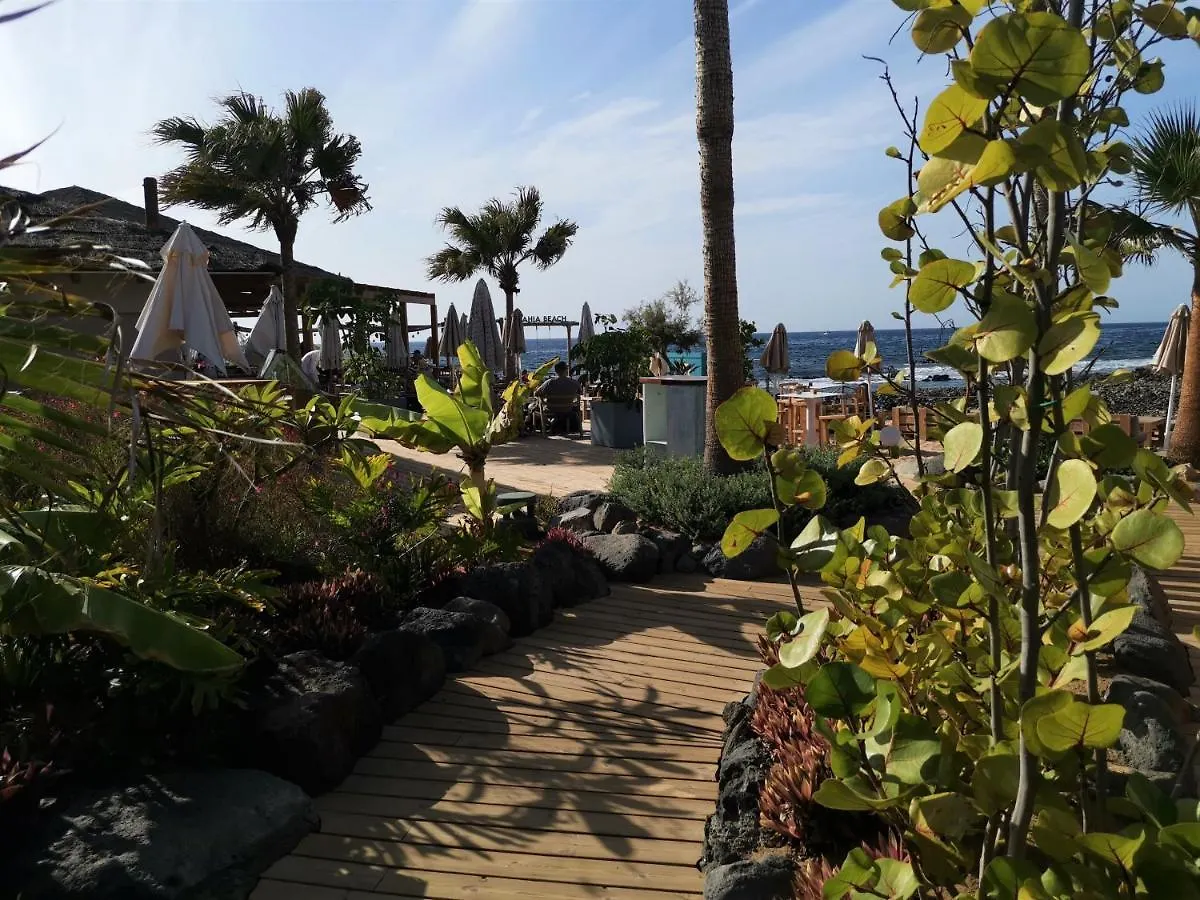 Apartamento Palm-Mar Appartement Celeste 250M De L'Ocean Vue Mer Panoramique